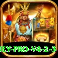 DK999 Money Pro v4.2.3